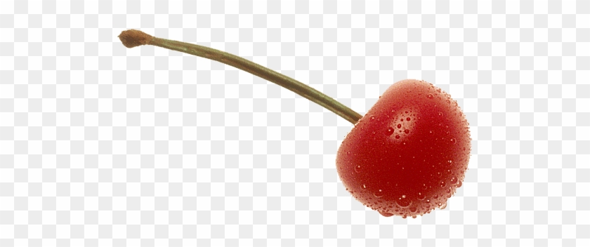 Cherry Png Images Transparent Free Download - Cherry Png #484617