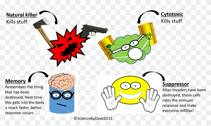 Most Important Of All The Adaptive Immune System Produces - Natural Killer  Cell Cartoon - Free Transparent PNG Clipart Images Download