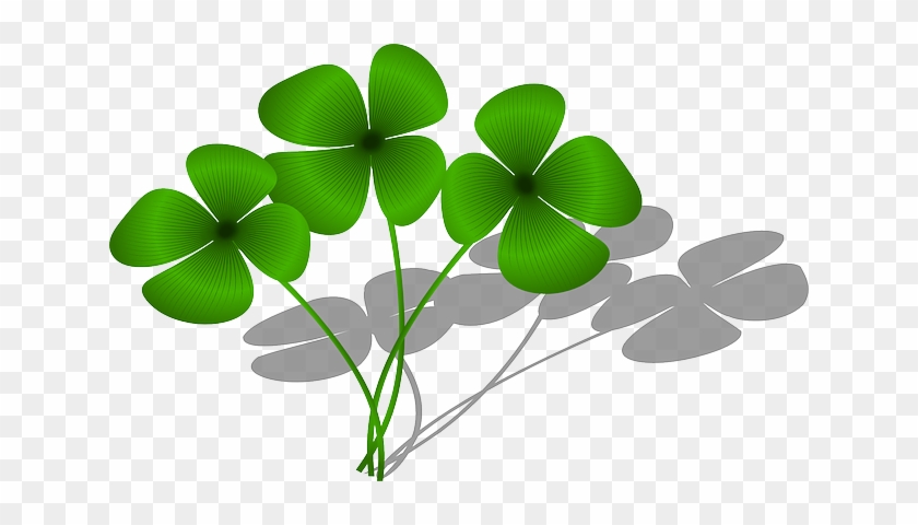 Clovers, Luck, Flora, Green, Plant, Symbol - Clovers Clipart #485239