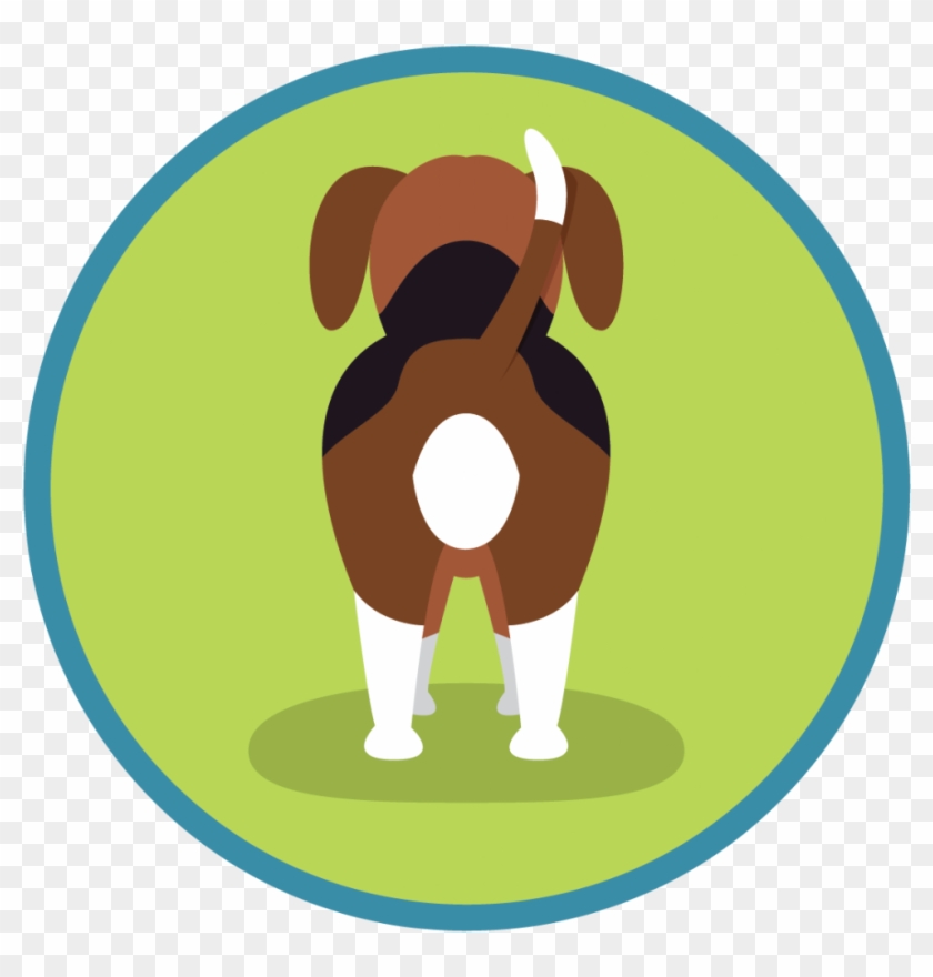 Fireworks And Dogs Dealing With Anxiety This Bonfire - University Of North Alabama #485451