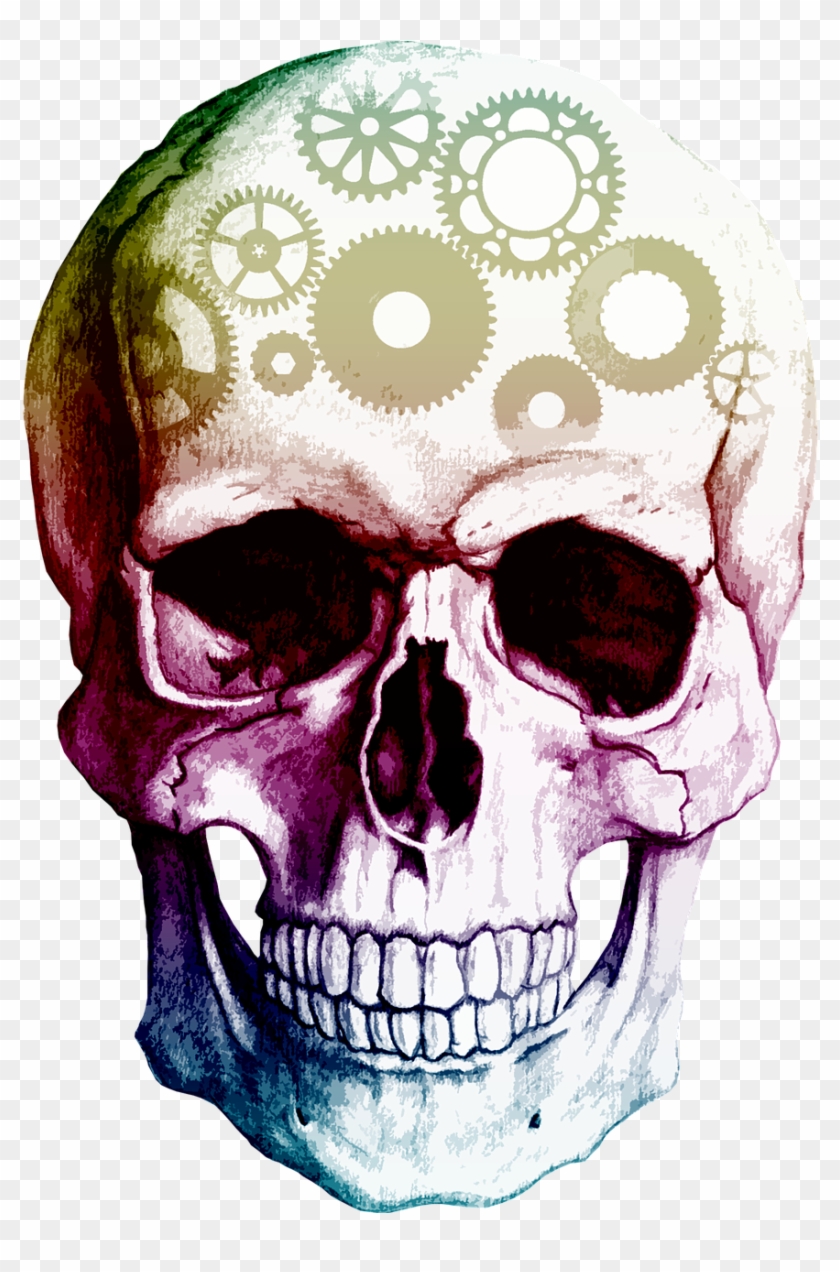 Skull Human Skeleton Clip Art - Skull Human Skeleton Clip Art #485947