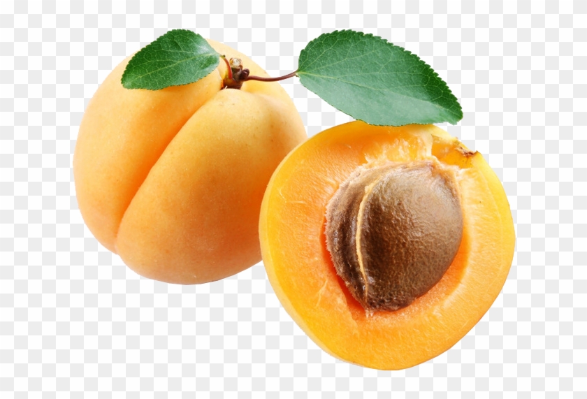 Apricot Png - Apricot Png #485760