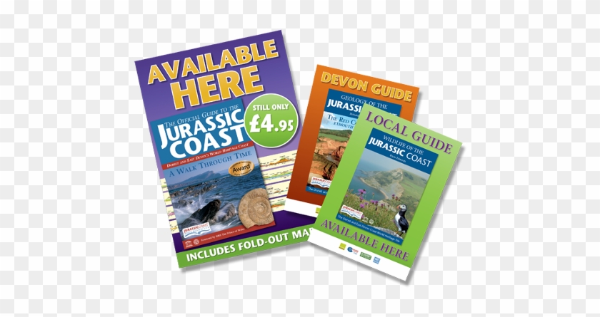 [image] A3 And A4 Point Of Sale Posters - Official Guide To The Jurassic Coast: Dorset And East #485776