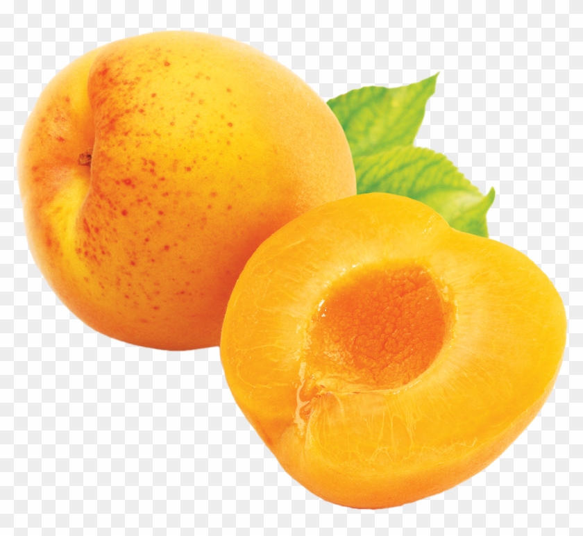 View & - Apricot Png #485835