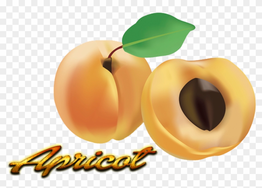 Apricot Png Pic - Apricot #485857