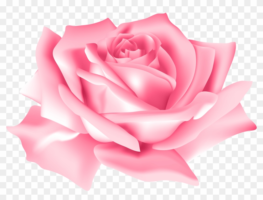 Pink Rose Flower Png Clip Art Image - Pink Rose Flowers Png #485933