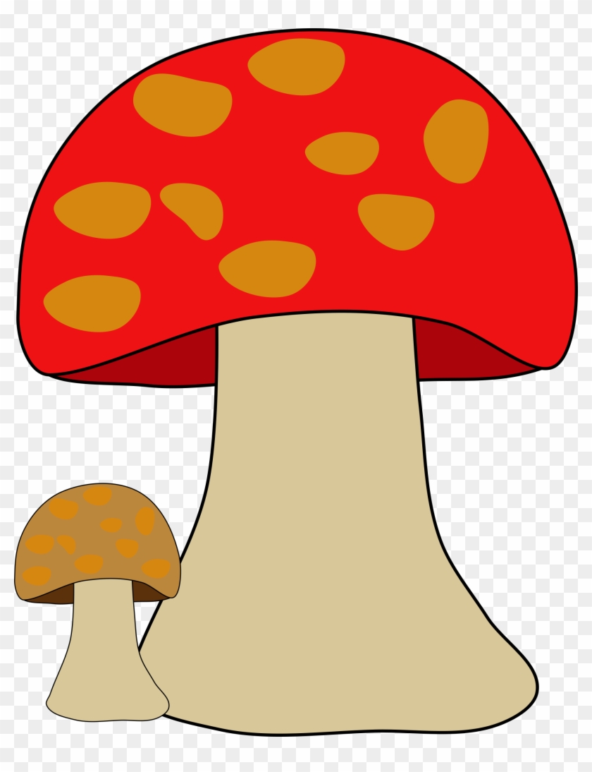 Mushroom Clipart Fungus - Organismo Hongo #486157