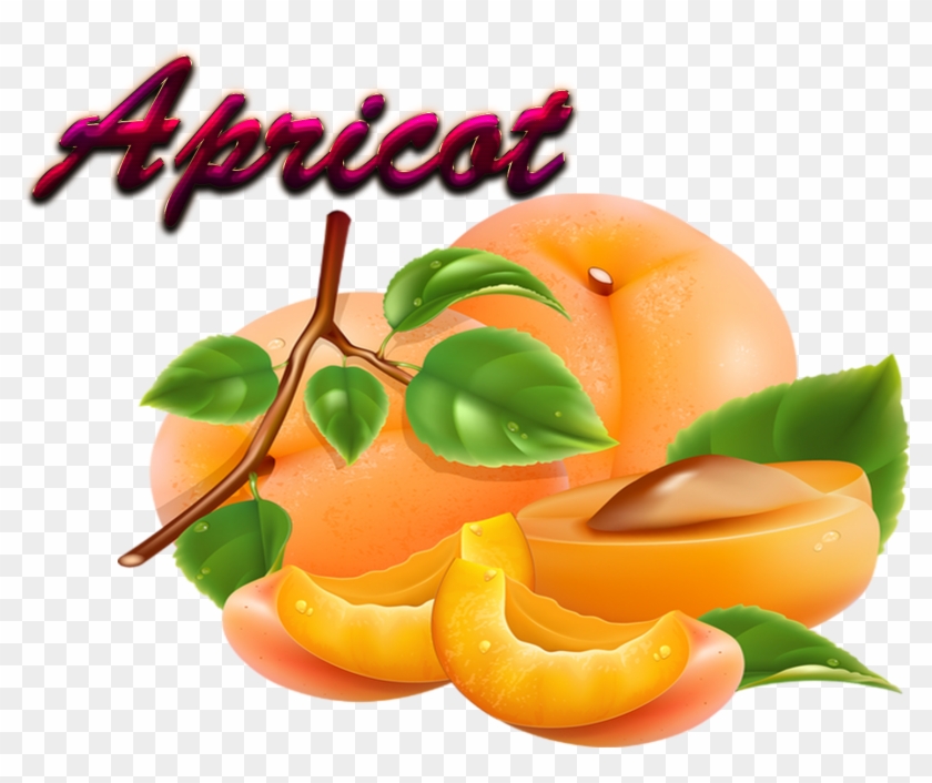 Apricot Download Png - American Home Mortgage Servicing #486199