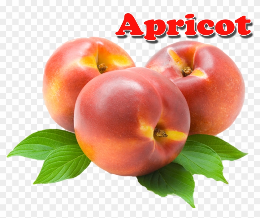 Apricot Png - Portable Network Graphics #486226