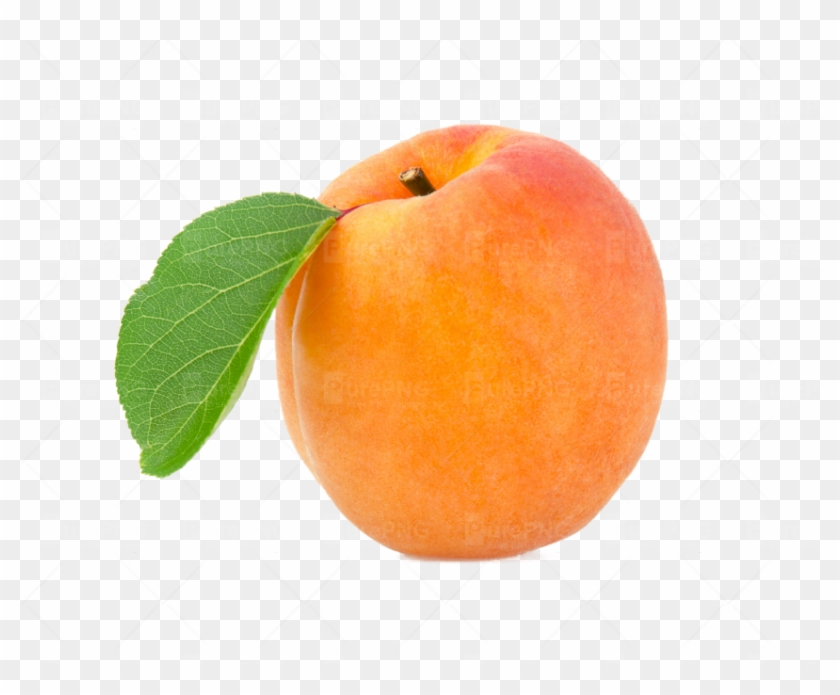 Apricot Png #486232
