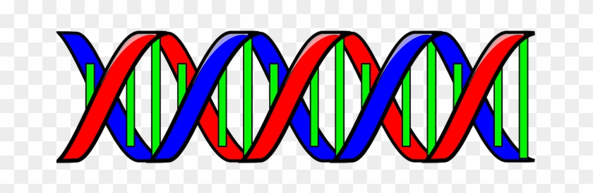 Dna Genetic Code Double Helix Science Biol - Double Helix Clip Art #486242
