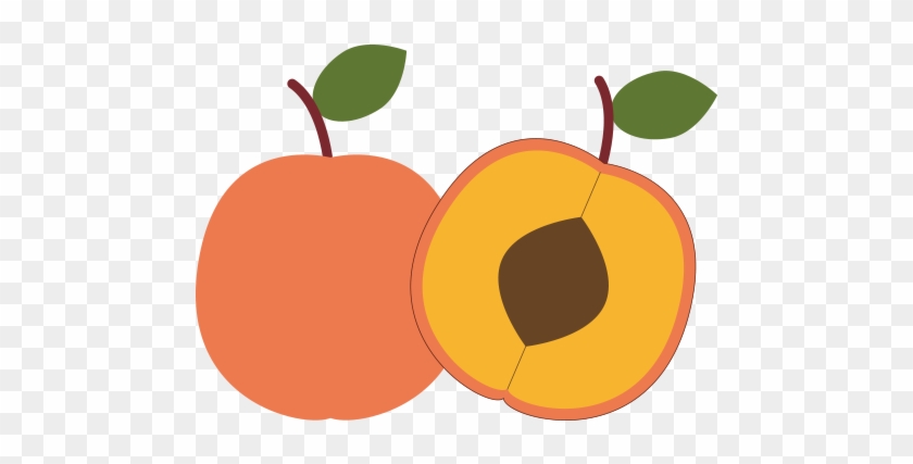 Apricots - Armenian Plum #486247