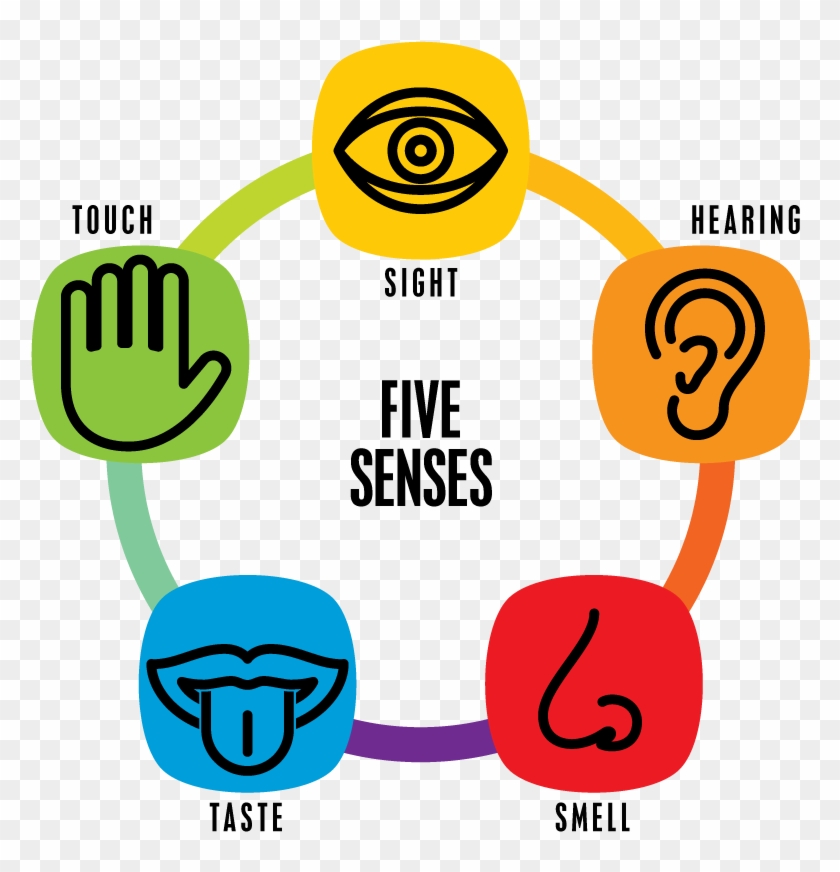 The Multi Sensory Art Project Is An Art In Health Project - Five Senses #486664