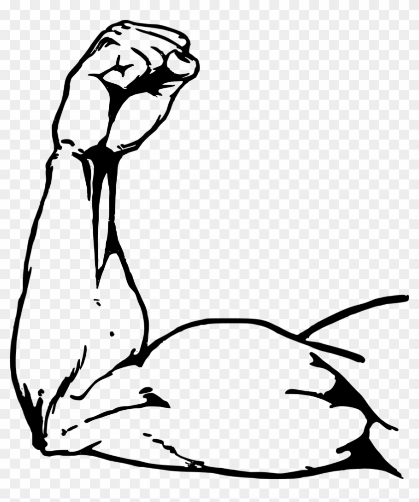 Muscle Arm - Muscle Arms Drawing - Free Transparent PNG Clipart Images