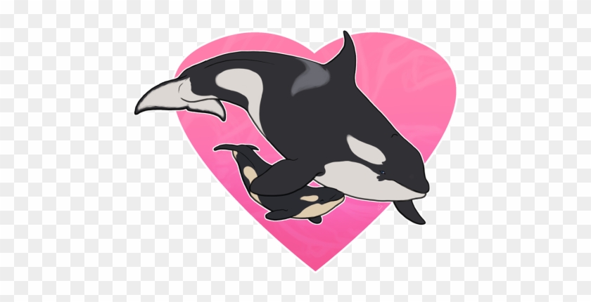 Pink Whale Clipart - Killer Whale #486960