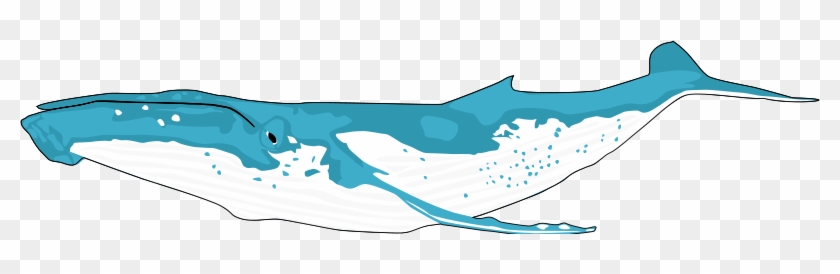 Pink Whale Clip Art Free Clipart Images 3 Clipartix - Clip Art Humpback Whale #486969