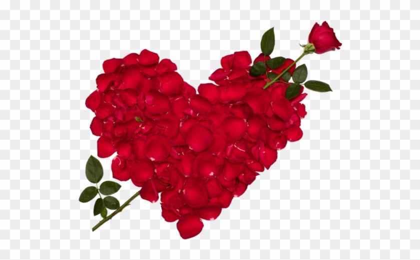 Rose Petal Heart With Arrow Photo - Love Rose Flower #487554