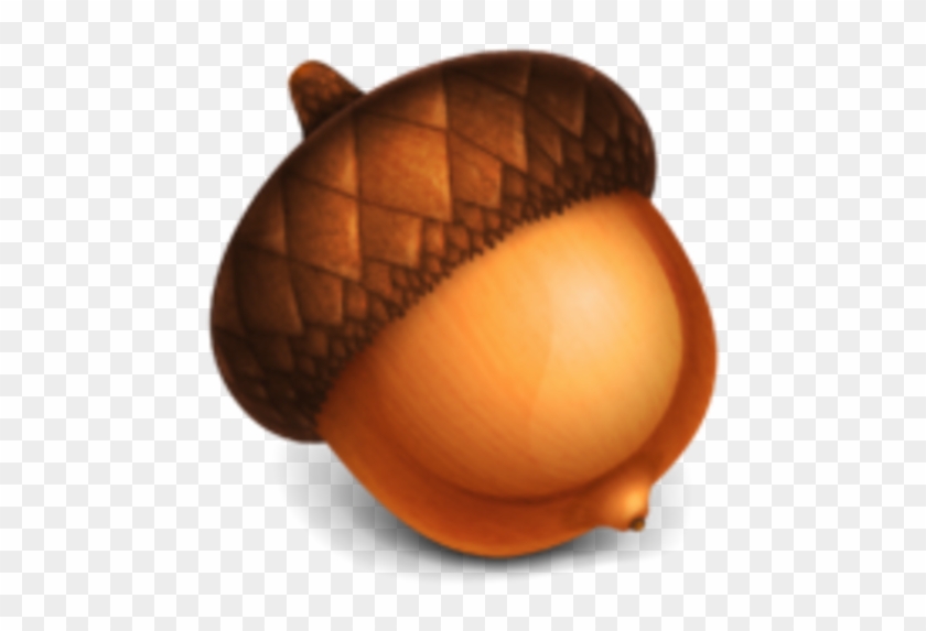 Acorn Drawing - Acorn Png #487700