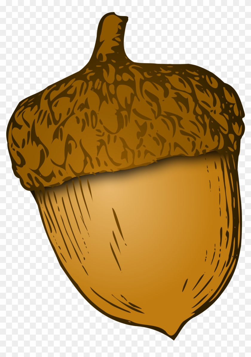 Acorn Clip Art 9, - Acorns Clip Art #487724