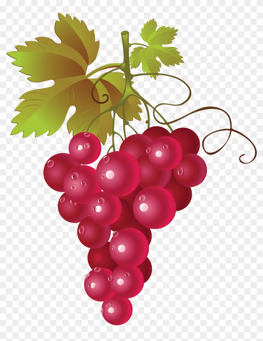 Red Grapes Cliparts - Red Grapes Clipart #487825