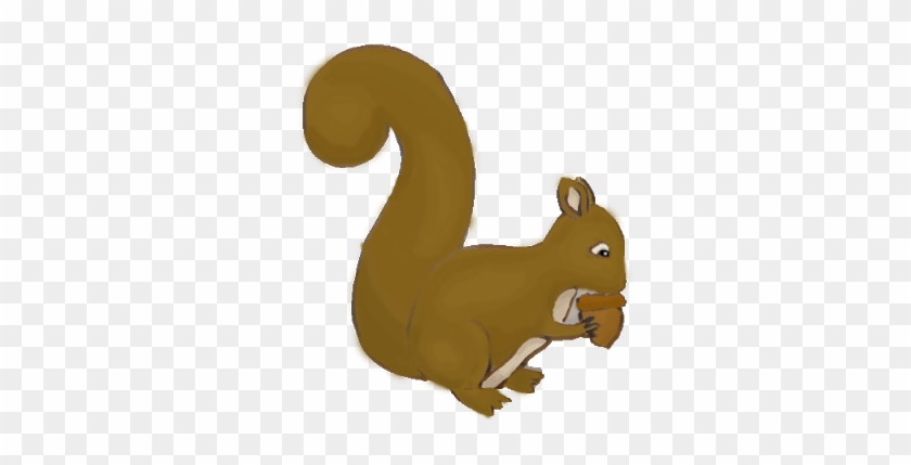 Mmm - Acorn - Fox Squirrel #487982