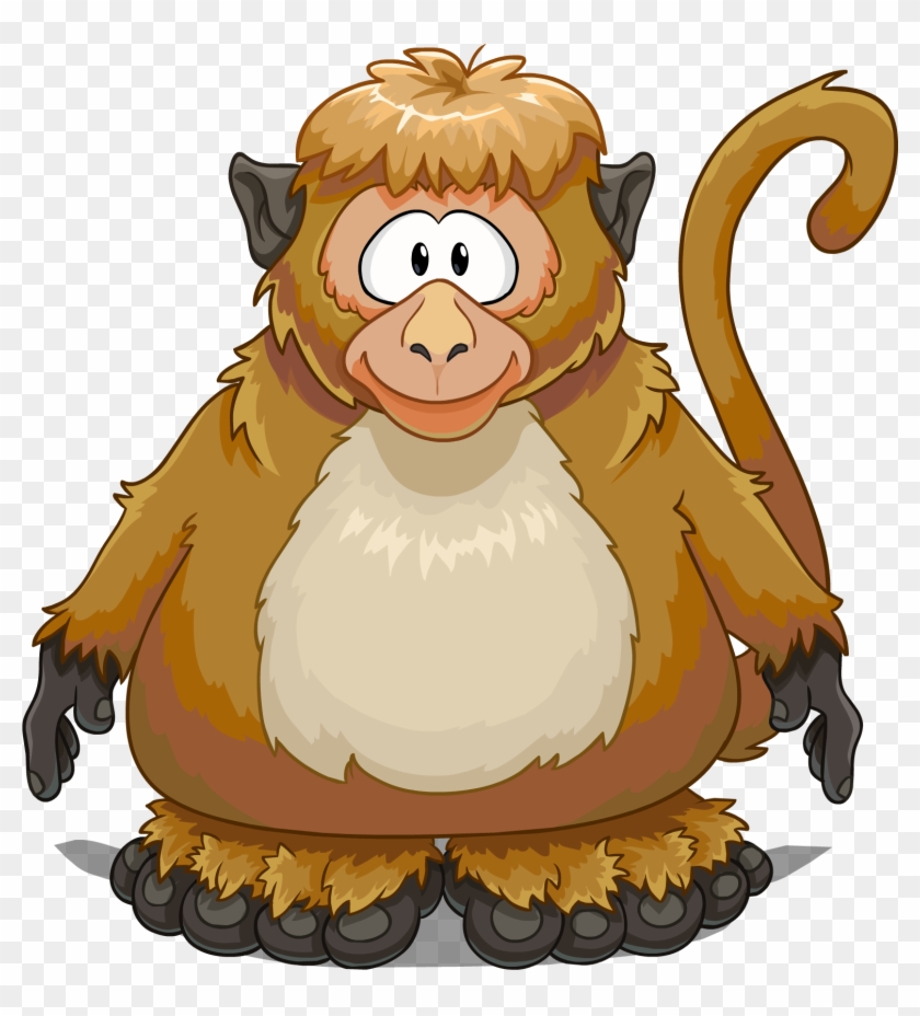 Monkey Costume On A Player Card - Club Penguin Monkey Costume #488116
