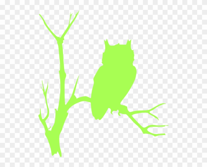 Green Owl Clip Art - Photoluminescence #488155