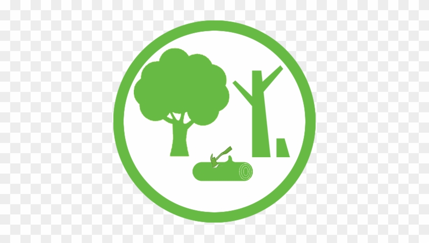 Deforestación - Deforestación Png #488160