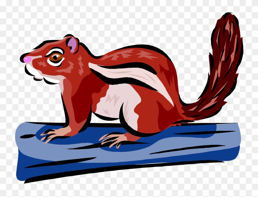 Chipmunk Clipart - Squirrel #488172