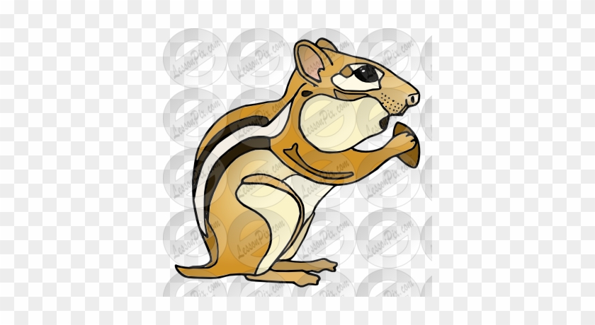 Chipmunk Picture - Clip Art #488205