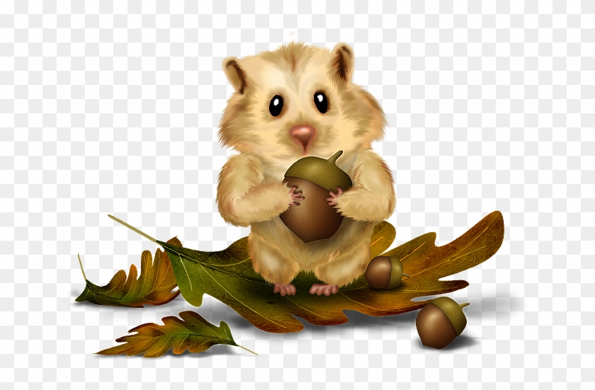 Chipmunk - Hamster #488283