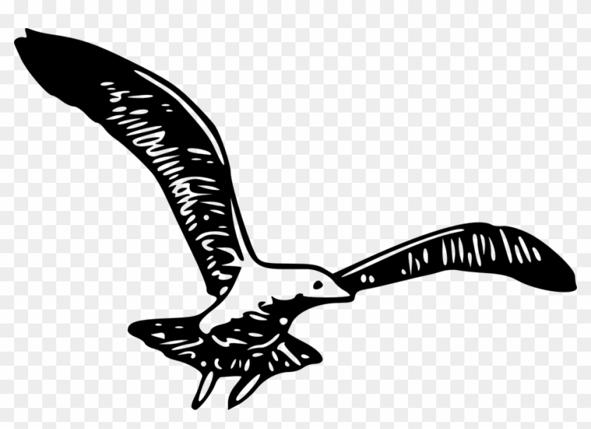 Wings Clipart Real Bird - Cartoon Bird With Wings Spread #488442