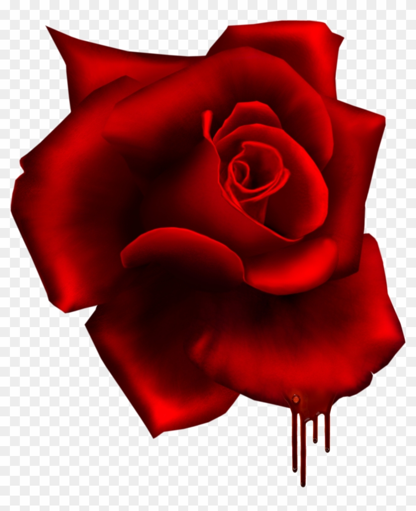 Render Rose Terreur Rouge Sang Nature Autresinconnu - Floribunda #488548