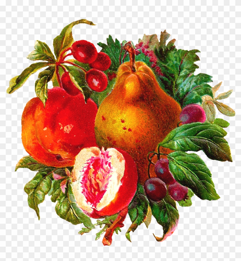 Free Digital Fruit Clip Art - Book #488651