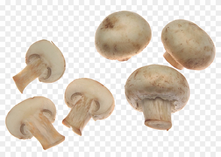 Mushroom Food Png #488718