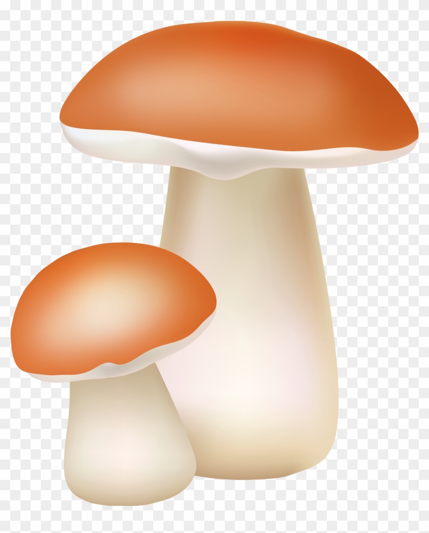 Mushroom Clipart Two - Mushrooms Png #488723