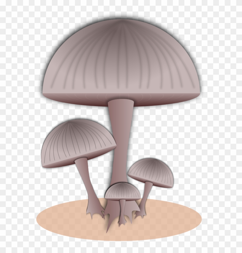 Download - Mushroom #488724