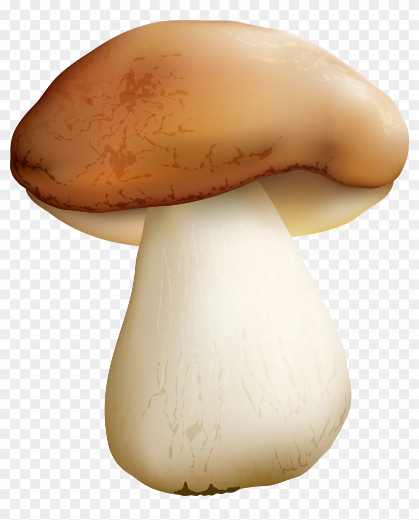 Mushroom Png Clipart Image - Mushroom Png #488750