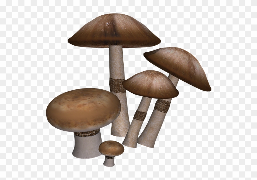 Mushroom Png - Mushrooms Digital Art #488763