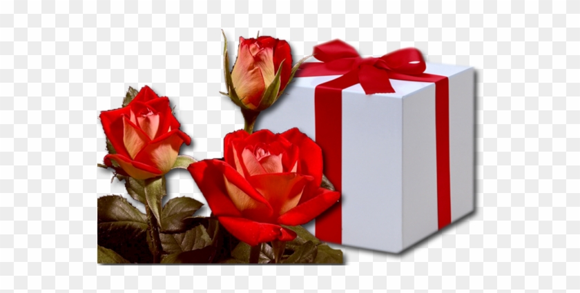 Cadeau - 禮物 #489038