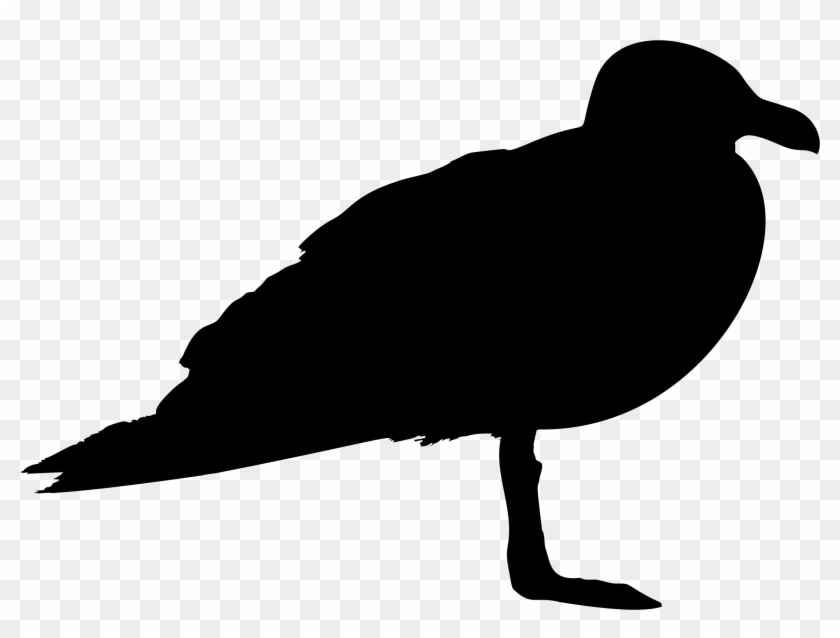 Seagull Profile Silhouette - Duck Pictogram #489075