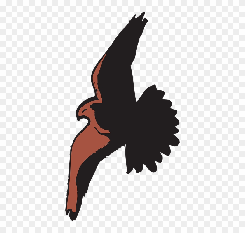 Hawk Clipart Bird Shadow - Cartoon Hawk Flying #489149
