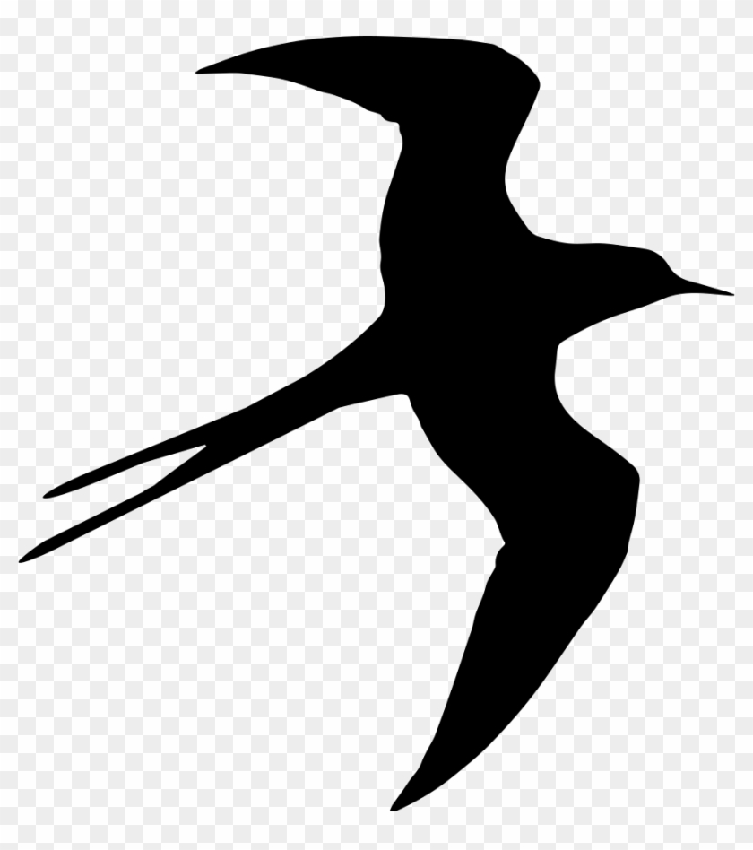 Swallow Bird Flying Silhouette Comments - Swallow Bird Flying Silhouette Comments #489150