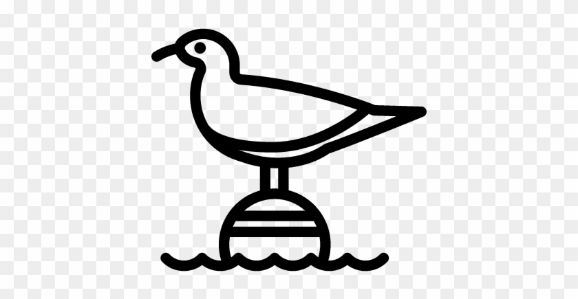 Seagull Vector - Gulls #489160