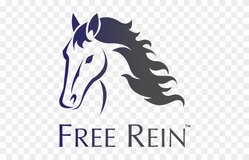 Free Rein™ Graphite Matchy Set Includes A Dressage - San Bernardino Cancer Care Center #489477