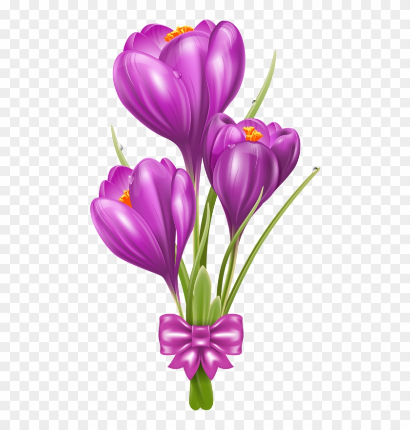 Vector Flowersflower Clipartflower - Crocus Clip Art #489654