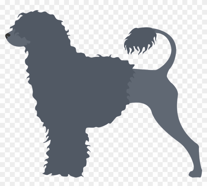 Perro De Agua Portugués - Carolines Treasures Bb3868ds66 Portuguese Water Dog #490102