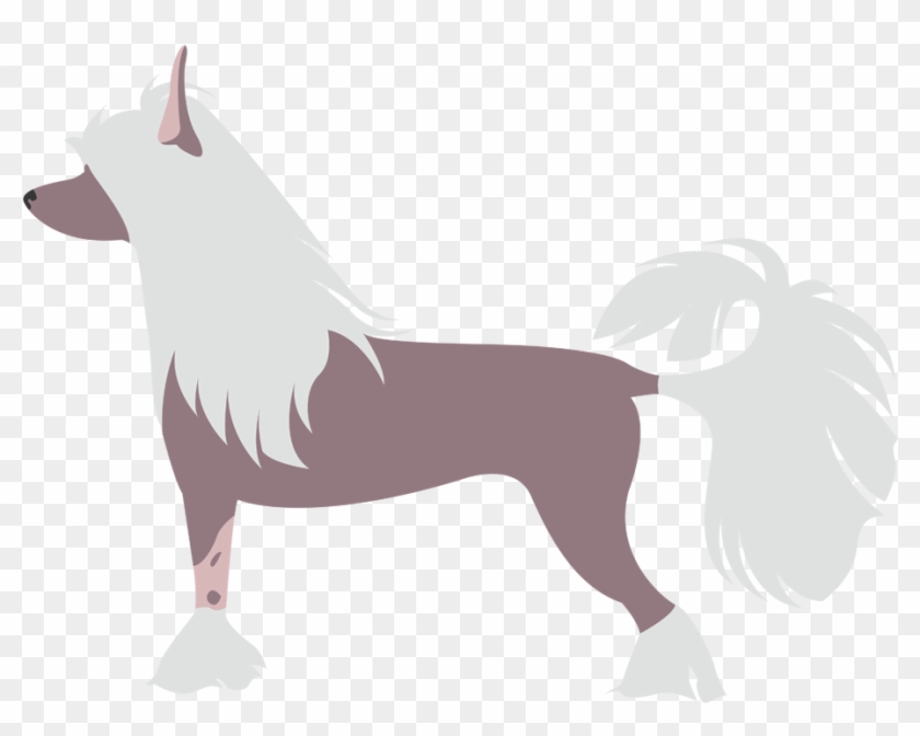 Crestado Chino - Illustration #490108