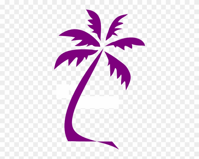 Palm Tree - (sjt02515) Going To My Happy Place. Be Back Never (palm #490333