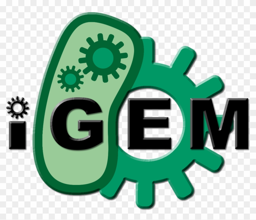 Team - Xmu-china/protocols - 2012 - Igem - Org - " - Igem 2018 #490419